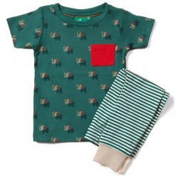 Little Green Radicals - Bio Kinder Set Shirt und Hose mit Elefanten-Allover und Streifen