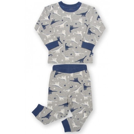 kite kids - Bio Kinder Schlafanzug mit Dino-Allover