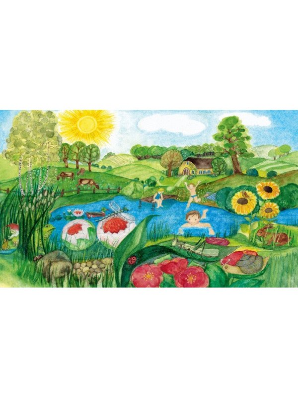 Eva-Maria Ott-Heidmann - Pappbilderbuch "Sommer"