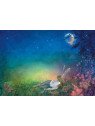 William Shakespeare/Daniela Drescher - Buch "Ein Sommernachtstraum"