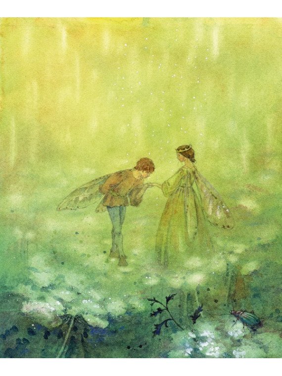 Hans Christian Andersen/Daniela Drescher - Buch "Hans Christian Andersens schönste Märchen"