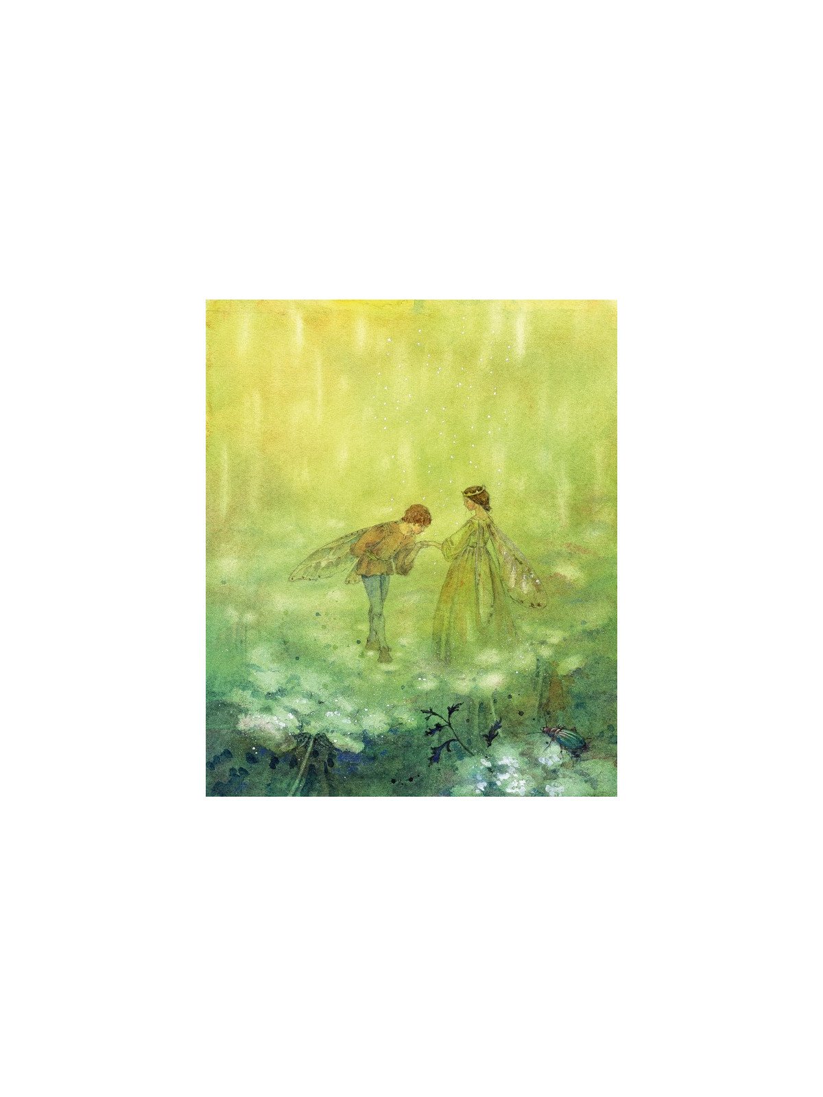 Hans Christian Andersen/Daniela Drescher - Buch "Hans Christian Andersens schönste Märchen"