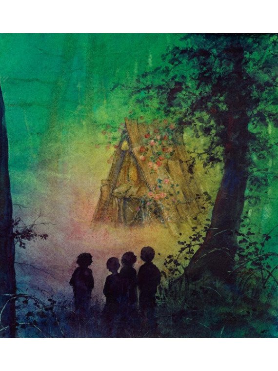 Hans Christian Andersen/Daniela Drescher - Buch "Hans Christian Andersens schönste Märchen"