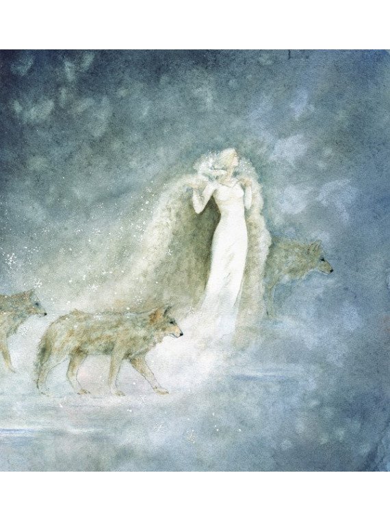 Hans Christian Andersen/Daniela Drescher - Buch "Hans Christian Andersens schönste Märchen"