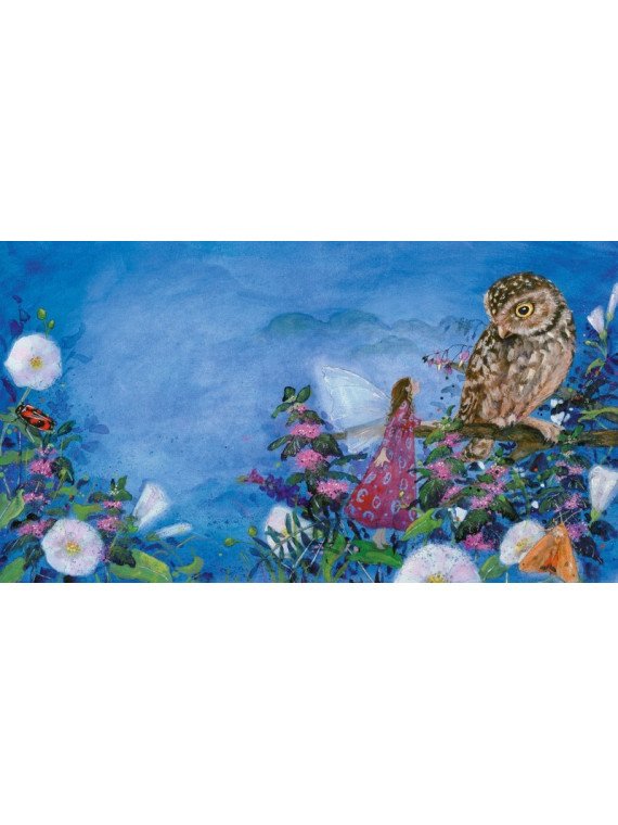 Daniela Drescher - Buch "Die kleine Elfe kann nicht schlafen"