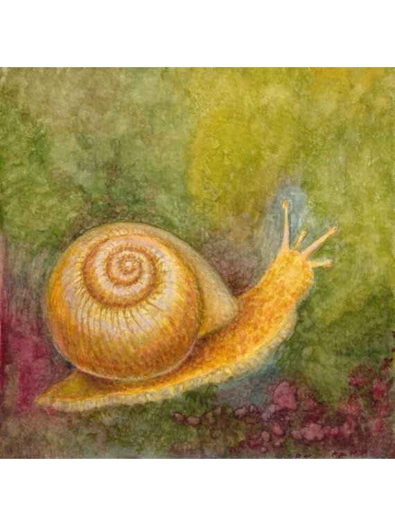 Anneliese Metzig-Brusberg - Pappbilderbuch "Im Wald"