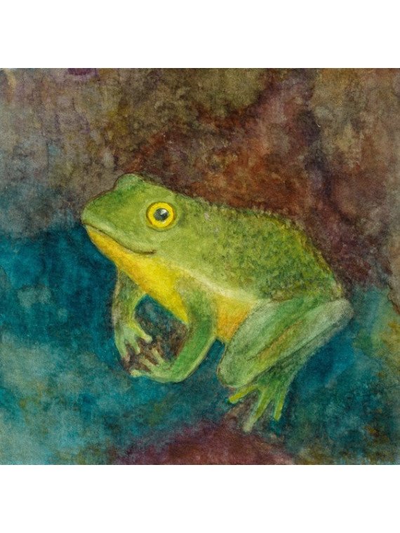 Anneliese Metzig-Brusberg - Pappbilderbuch "Im Wald"
