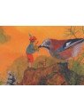 Kartenset von Daniela Drescher 10 Motive