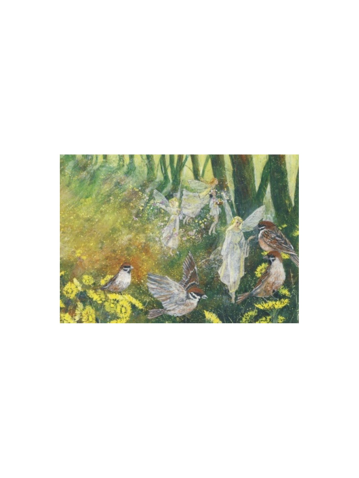 Kartenset von Daniela Drescher 10 Motive