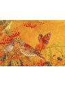Kartenset von Daniela Drescher 10 Motive