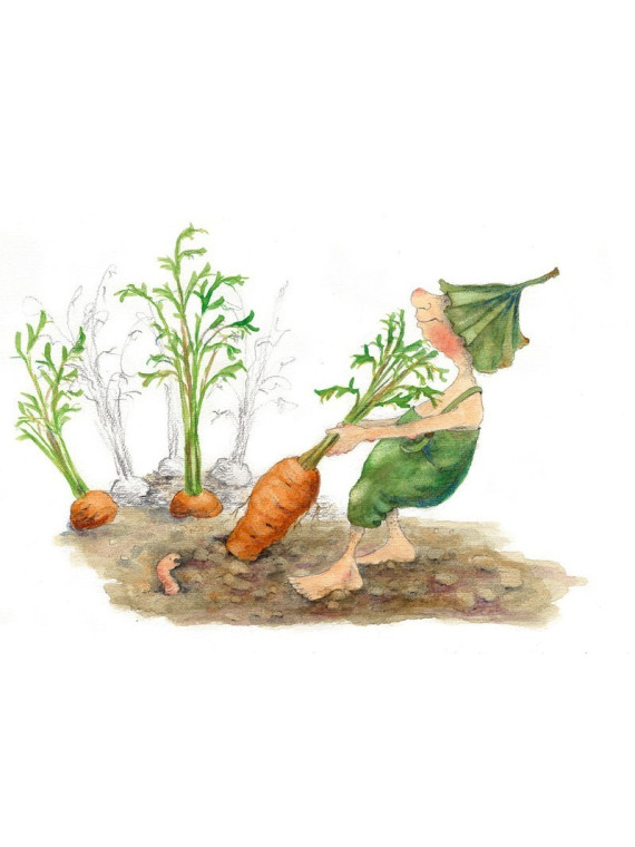 Daniela Drescher - Buch "Giesbert hört das Gras wachsen"