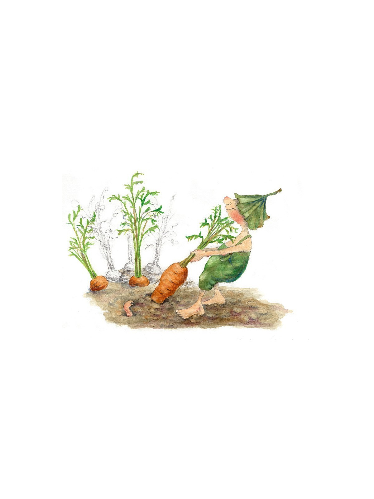 Daniela Drescher - Buch "Giesbert hört das Gras wachsen"