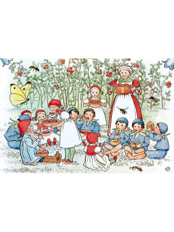 Elsa Beskow - Buch "Lasse im Blaubeerland"