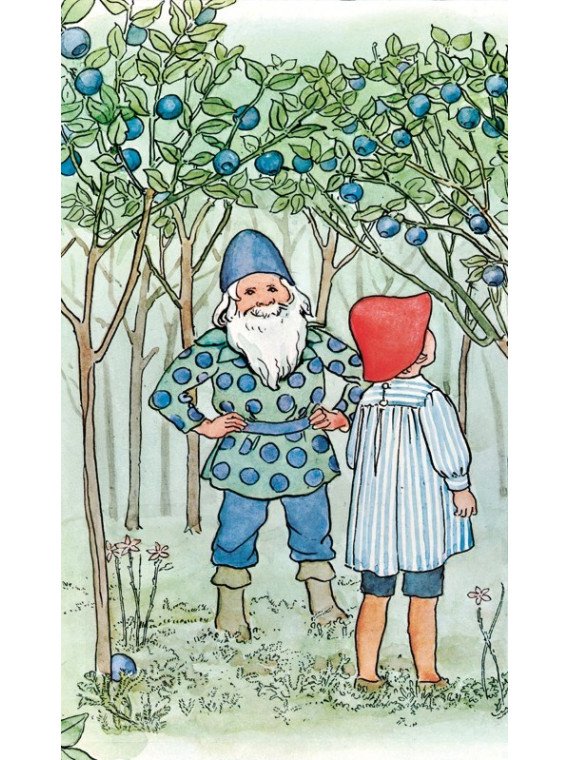 Elsa Beskow - Buch "Lasse im Blaubeerland"