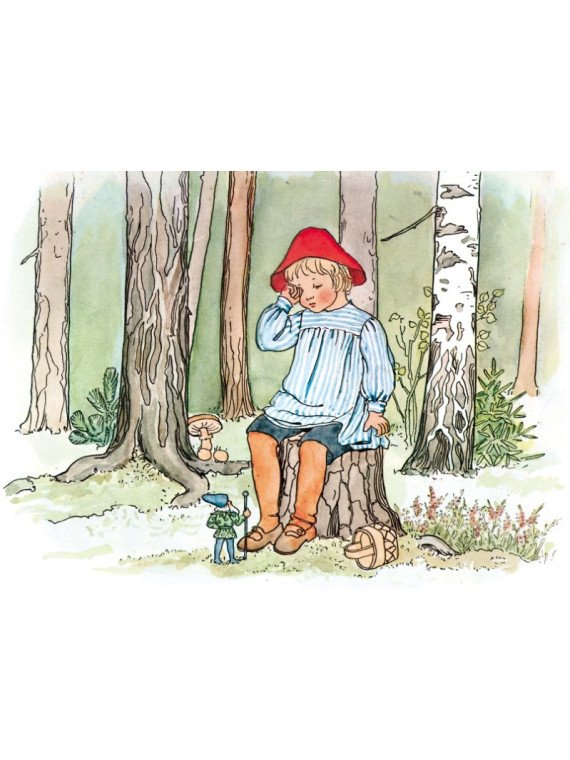 Elsa Beskow - Buch "Lasse im Blaubeerland"