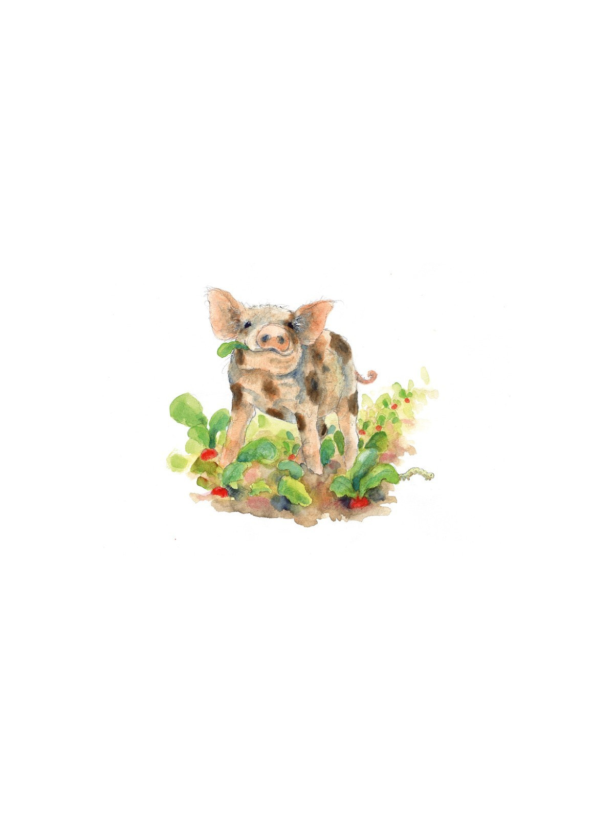 Daniela Drescher - Buch "Giesbert und der Gluckerbach"