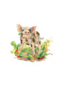 Daniela Drescher - Buch "Giesbert und der Gluckerbach"