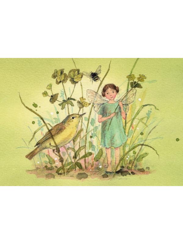 Daniela Drescher - Postkartenbuch "Elfenträume"