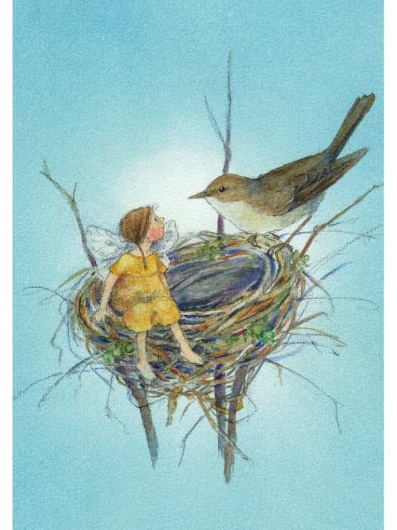 Daniela Drescher - Postkartenbuch "Elfenträume"