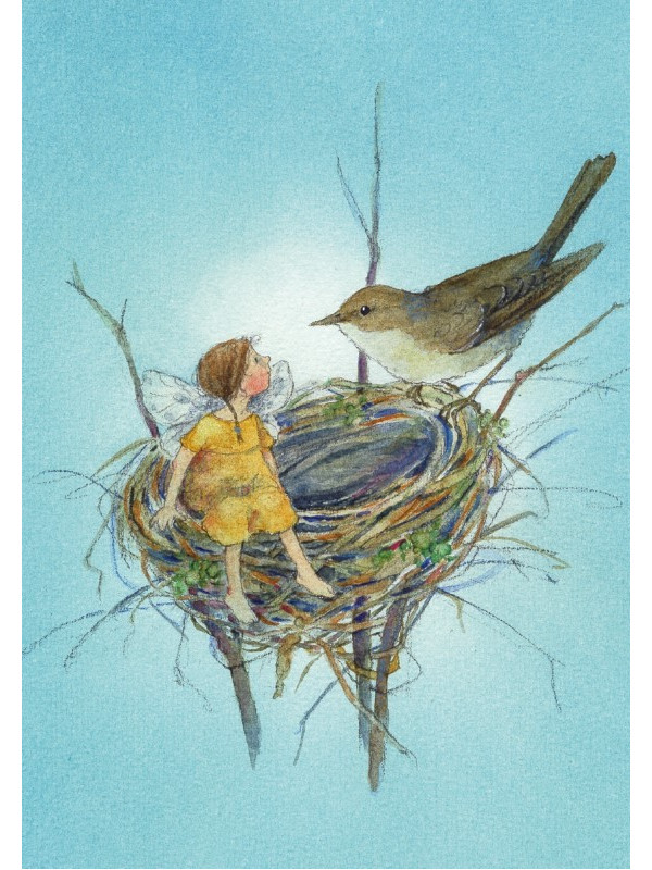 Daniela Drescher - Postkartenbuch "Elfenträume"