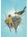 Daniela Drescher - Postkartenbuch "Elfenträume"