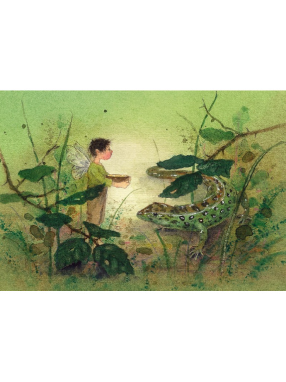 Daniela Drescher - Postkartenbuch "Elfenträume"