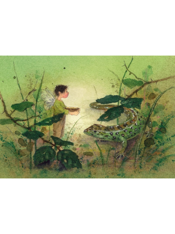 Daniela Drescher - Postkartenbuch "Elfenträume"