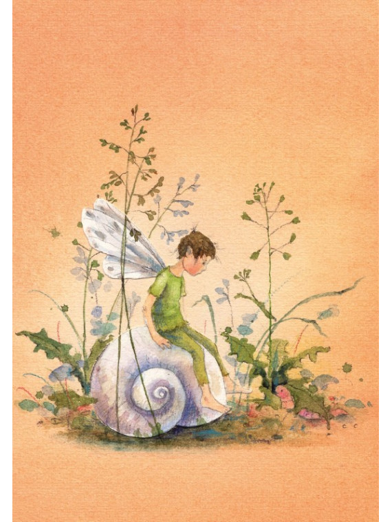 Daniela Drescher - Postkartenbuch "Elfenträume"