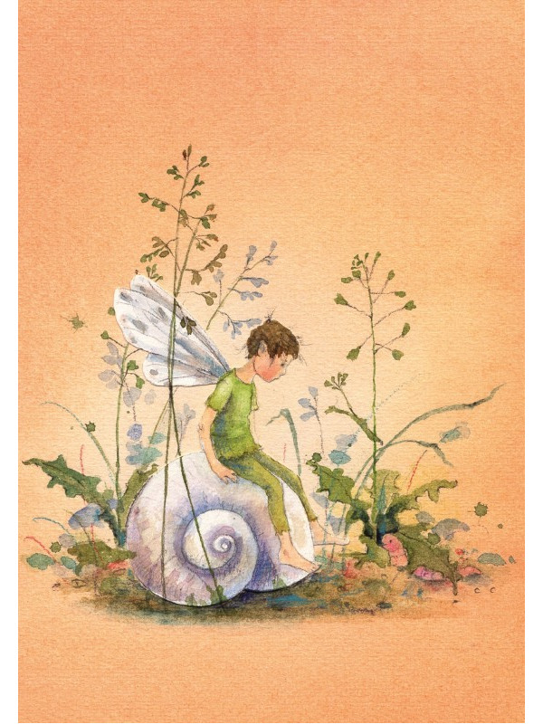 Daniela Drescher - Postkartenbuch "Elfenträume"