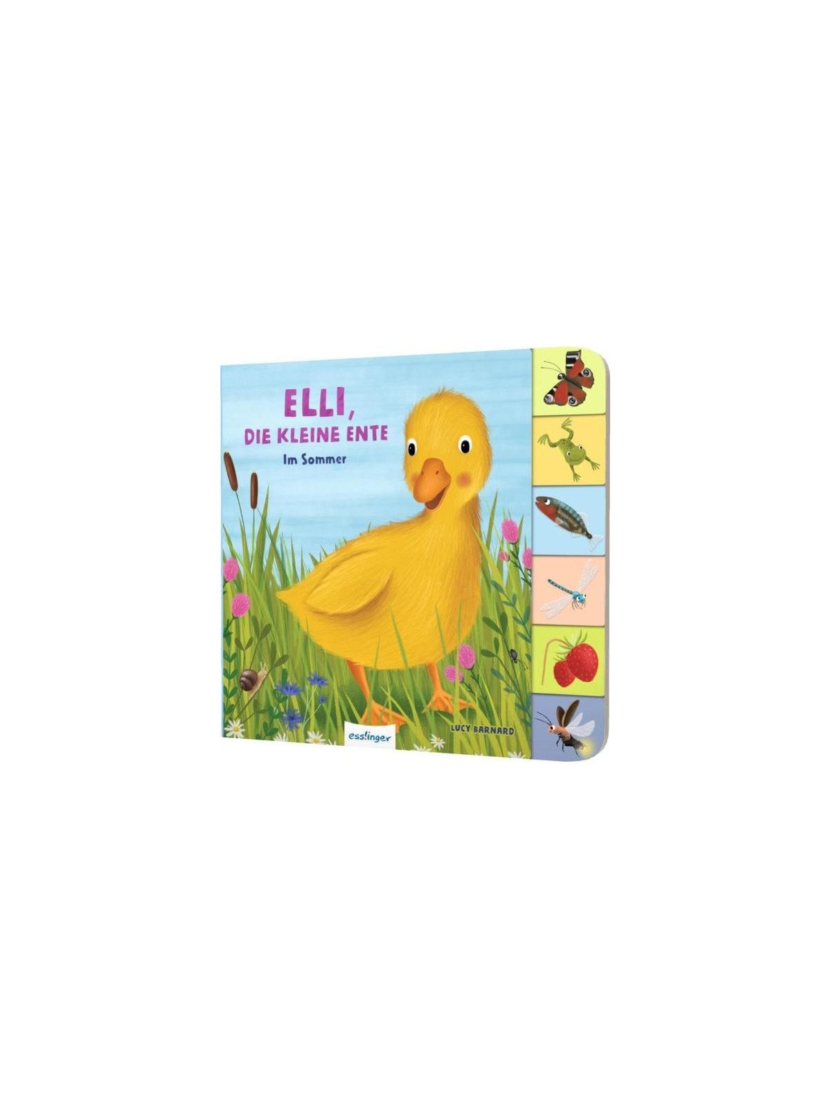 Anja Kiel - Pappbilderbuch "Mein erstes Jahreszeitenbuch: Elli, die kleine Ente - im Sommer"