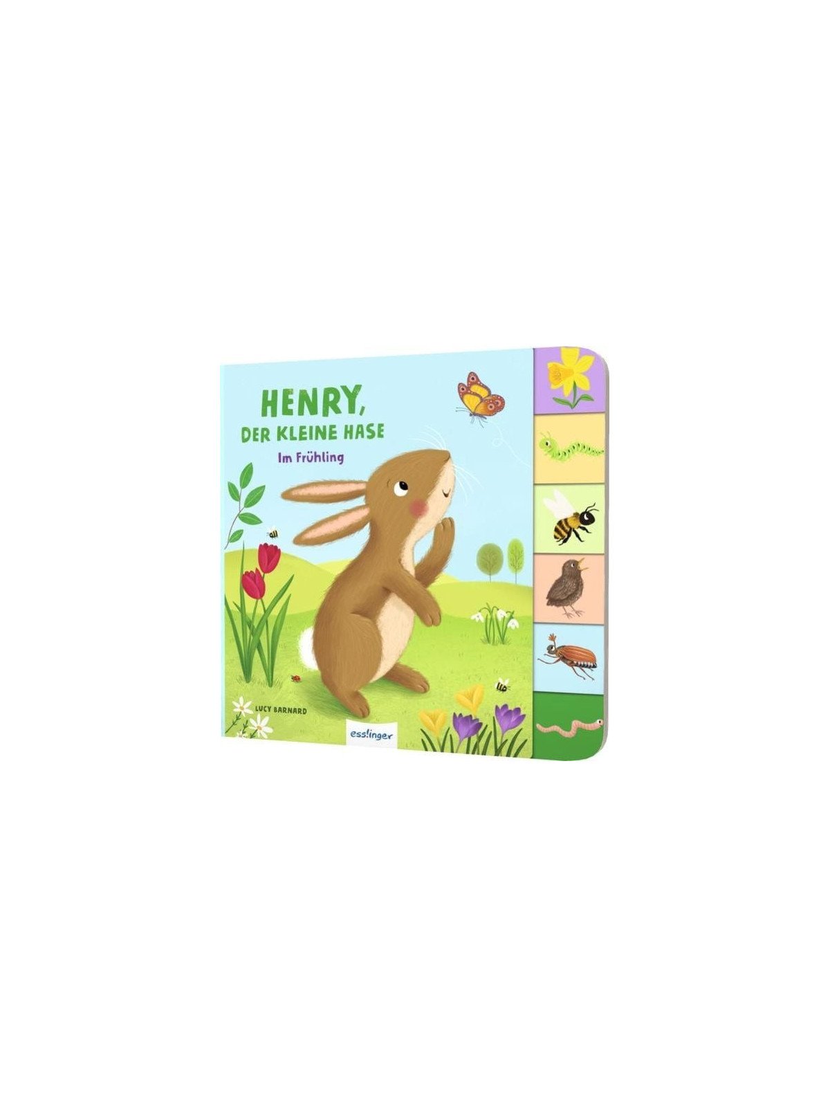 Anja Kiel - Pappbilderbuch "Mein erstes Jahreszeitenbuch: Henry, der kleine Hase - im Frühling"