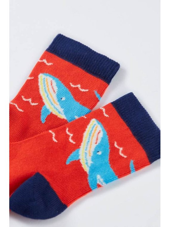 frugi - Bio Baby Strümpfe 3er-Pack mit Regenbogen, Wal und Fisch-Motiven
