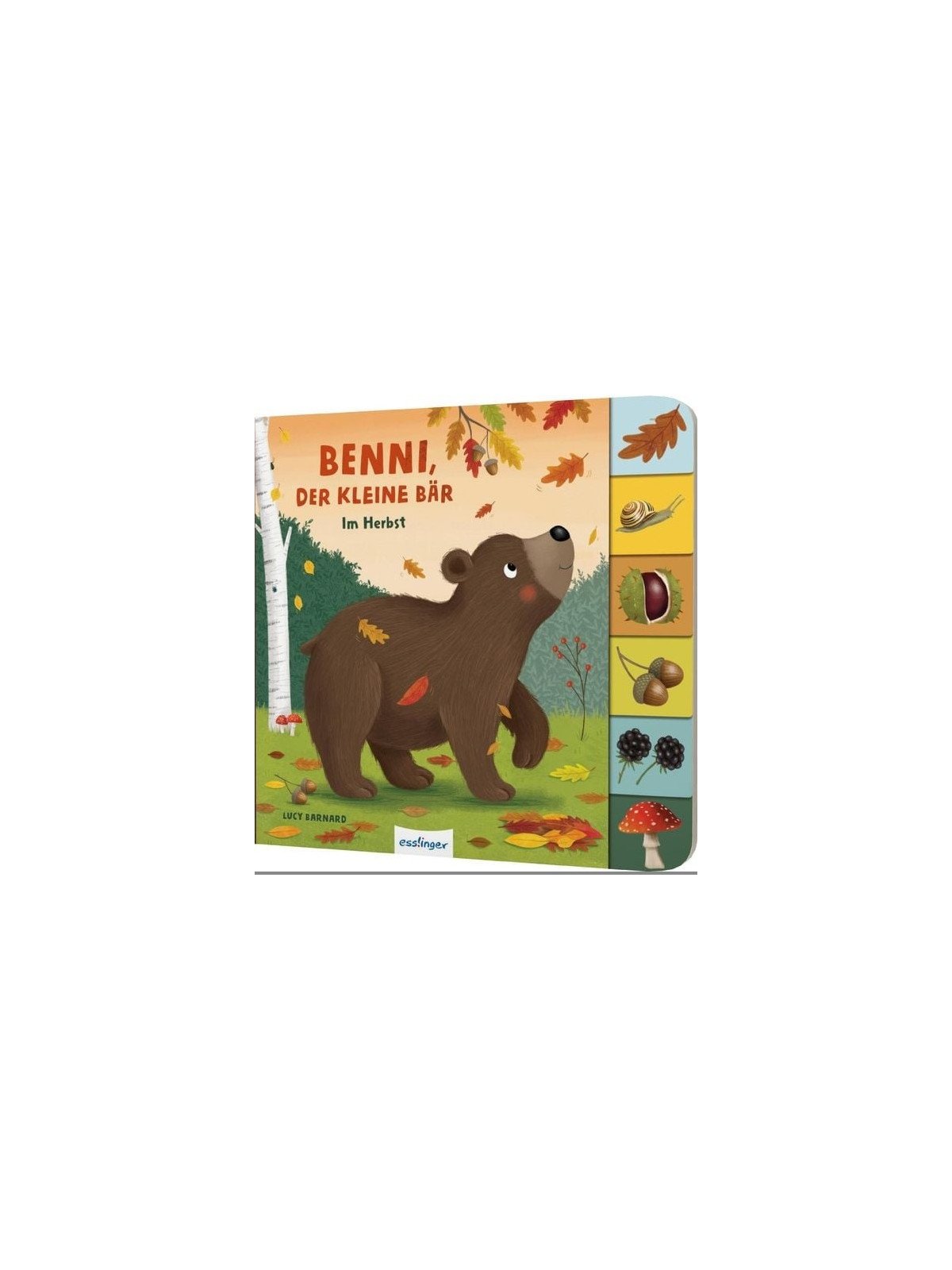 Anja Kiel - Pappbilderbuch "Mein erstes Jahreszeitenbuch: Henry, der kleine Hase - im Frühling"