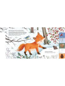 Anja Kiel - Pappbilderbuch "Mein erstes Jahreszeitenbuch: Ferdy, der kleine Fuchs - im Winter"
