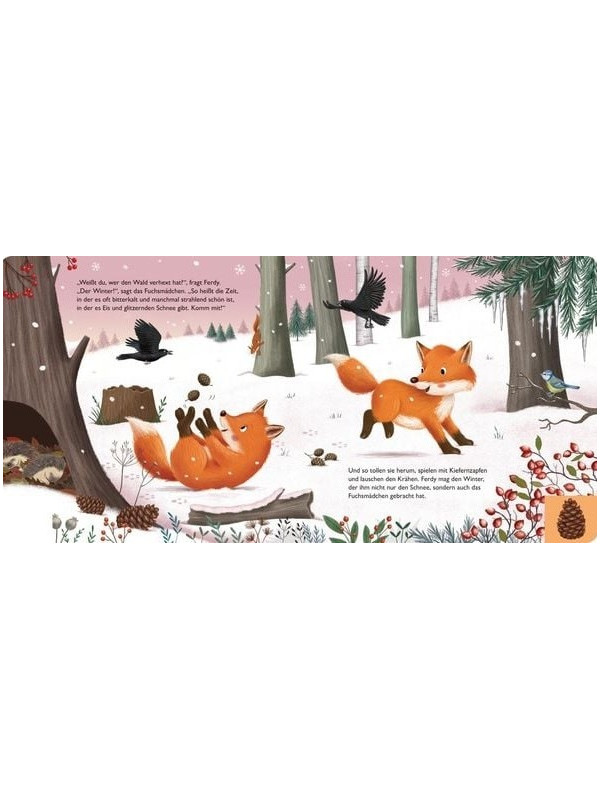 Anja Kiel - Pappbilderbuch "Mein erstes Jahreszeitenbuch: Ferdy, der kleine Fuchs - im Winter"