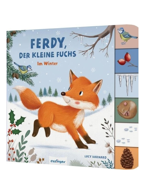 Anja Kiel - Pappbilderbuch "Mein erstes Jahreszeitenbuch: Ferdy, der kleine Fuchs - im Winter"