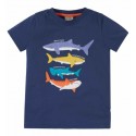 frugi - Bio Kinder T-Shirt "Avery" mit Hai-Applikationen