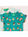 Little Green Radicals - Bio Baby Body Doppelpack kurzarm mit Vogel-Allover und Streifen