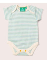 Little Green Radicals - Bio Baby Body Doppelpack kurzarm mit Vogel-Allover und Streifen