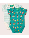 Little Green Radicals - Bio Baby Body Doppelpack kurzarm mit Vogel-Allover und Streifen