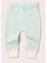 Little Green Radicals - Bio Kinder Set T-Shirt und Hose mit Vogel-Allover und Streifen