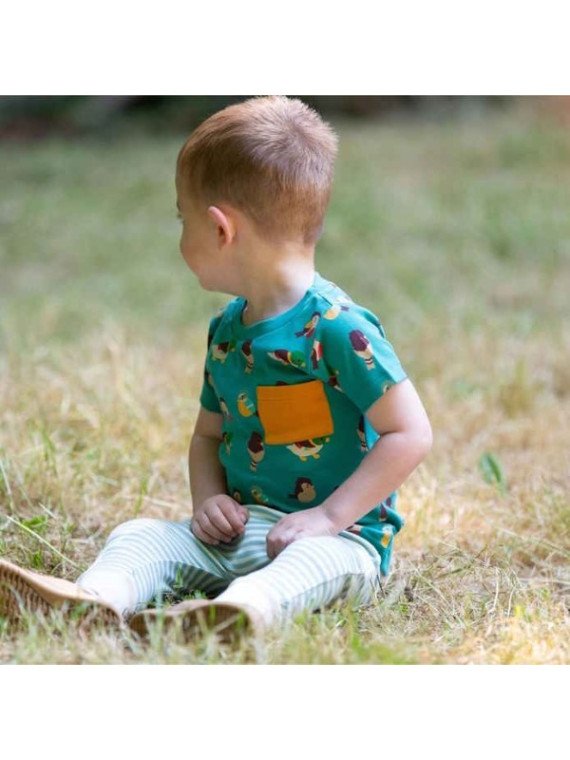 Little Green Radicals - Bio Kinder Set T-Shirt und Hose mit Vogel-Allover und Streifen