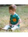 Little Green Radicals - Bio Kinder Set T-Shirt und Hose mit Vogel-Allover und Streifen