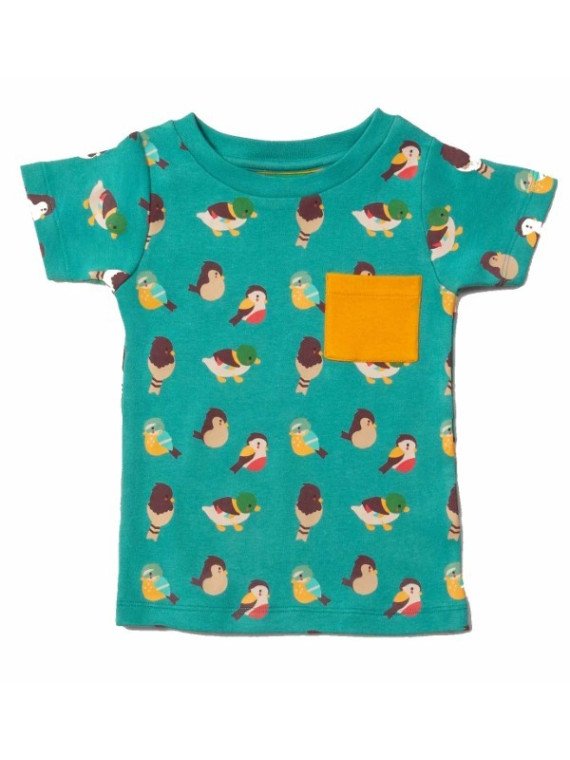 Little Green Radicals - Bio Kinder Set T-Shirt und Hose mit Vogel-Allover und Streifen