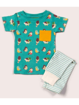 Little Green Radicals - Bio Kinder Set T-Shirt und Hose mit Vogel-Allover und Streifen