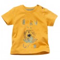 People Wear Organic - Bio Kinder T-Shirt mit Löwen-Druck und "born to be wild"-Schriftzug