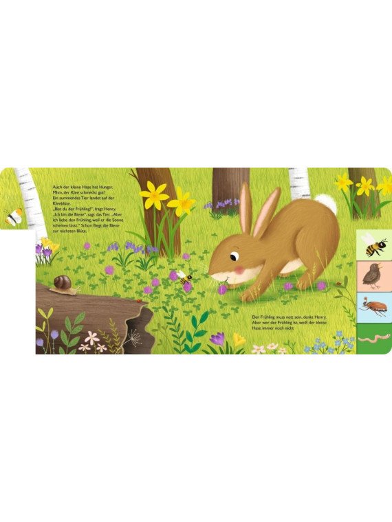 Anja Kiel - Pappbilderbuch "Mein erstes Jahreszeitenbuch: Henry, der kleine Hase - im Frühling"