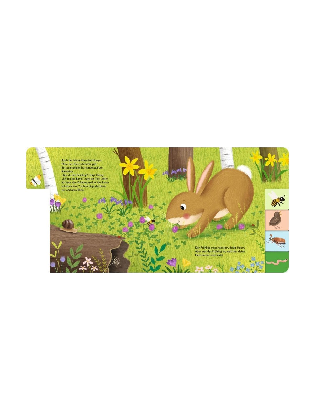 Anja Kiel - Pappbilderbuch "Mein erstes Jahreszeitenbuch: Henry, der kleine Hase - im Frühling"