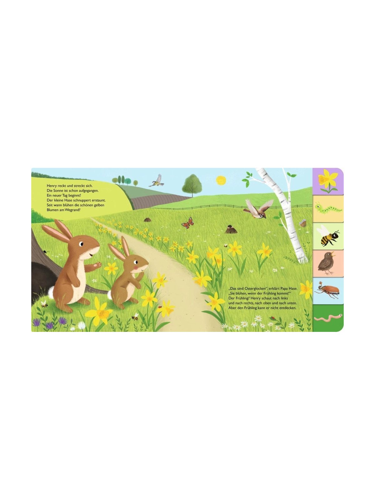 Anja Kiel - Pappbilderbuch "Mein erstes Jahreszeitenbuch: Henry, der kleine Hase - im Frühling"
