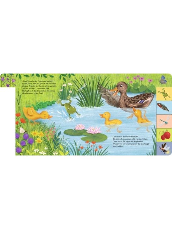 Anja Kiel - Pappbilderbuch "Mein erstes Jahreszeitenbuch: Elli, die kleine Ente - im Sommer"